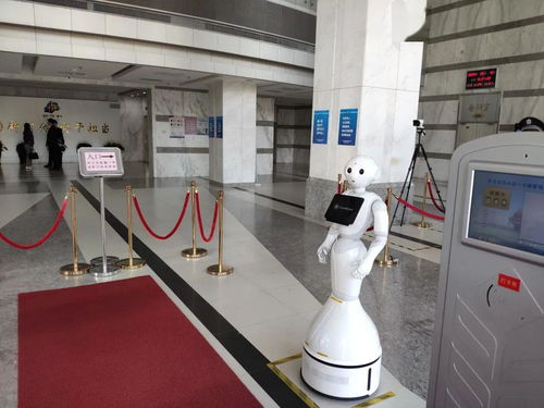 達(dá)闥科技云端智能機(jī)器人入駐青島市北政府，開啟智慧政務(wù)新篇章